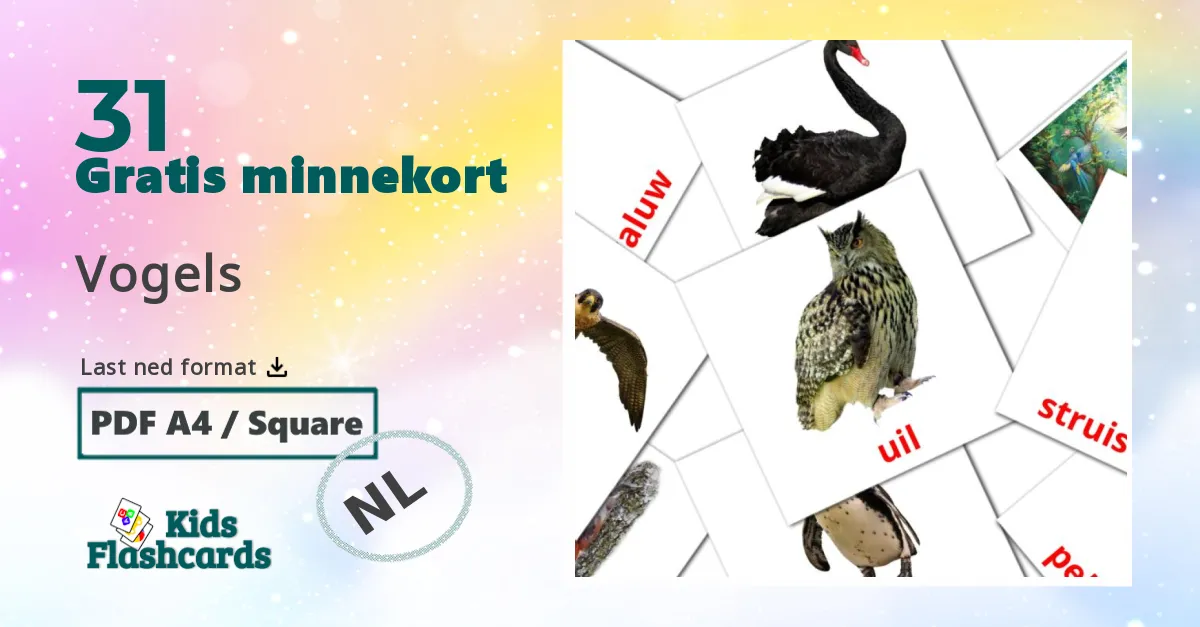 Vogels bildekort for barn på nederlandsk