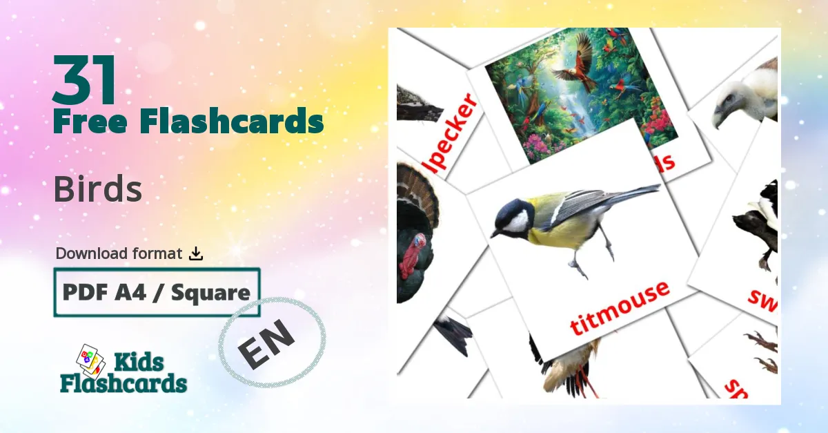 31 Birds flashcards