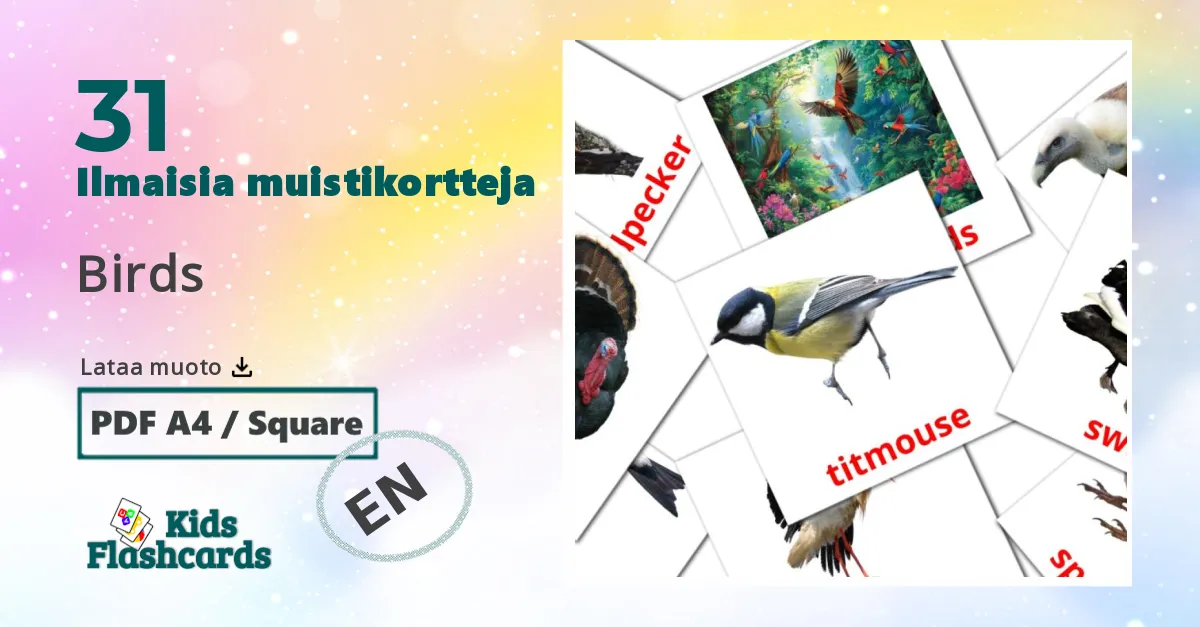 Birds – lasten kuvakortit englantiksi sanastoon