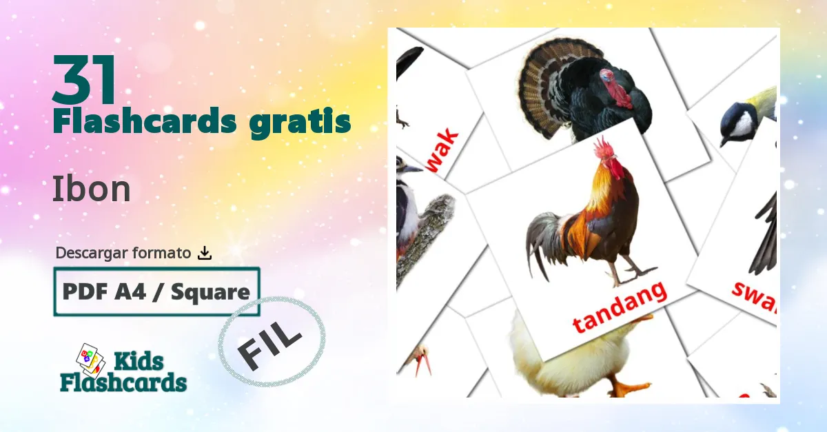 tarjetas didacticas de Aves