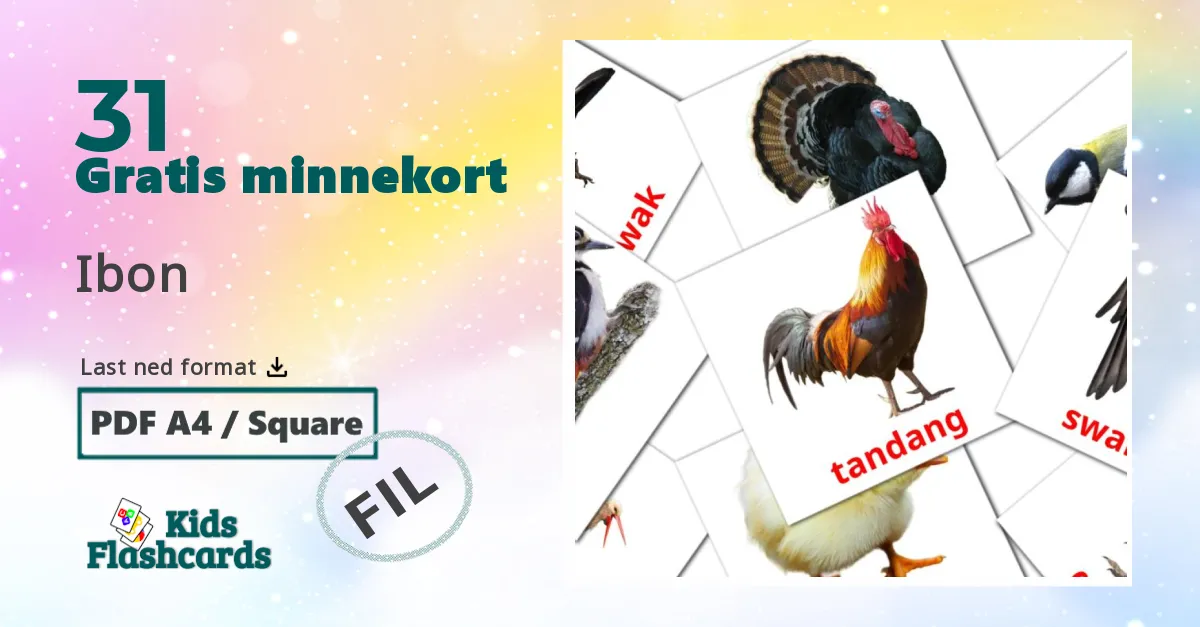 Ibon bildekort for barn på filipino
