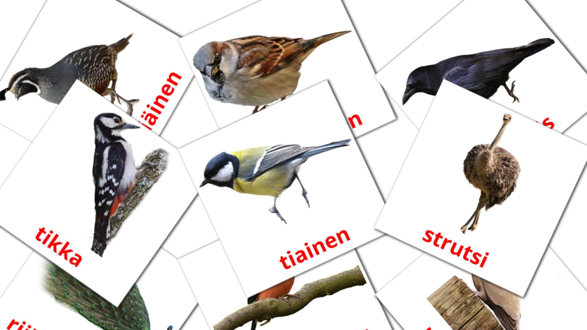 Linnut Flashcards di vocabolario finlandese