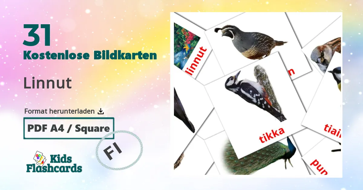 Bildkarten für Vögel