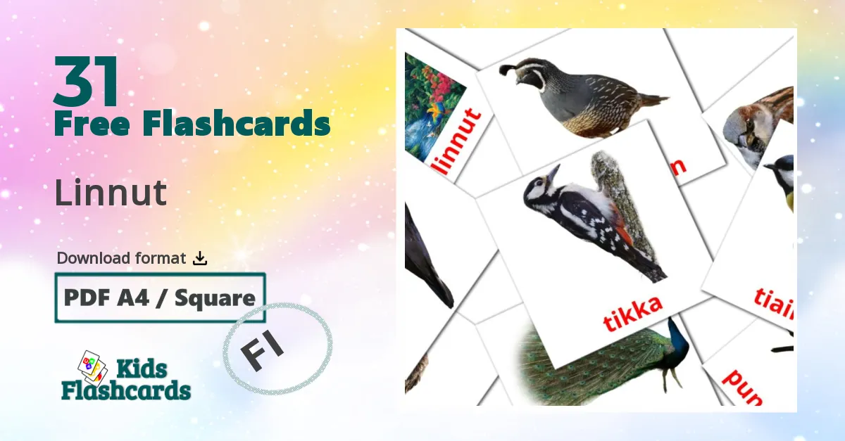 Linnut finnish vocabulary flashcards