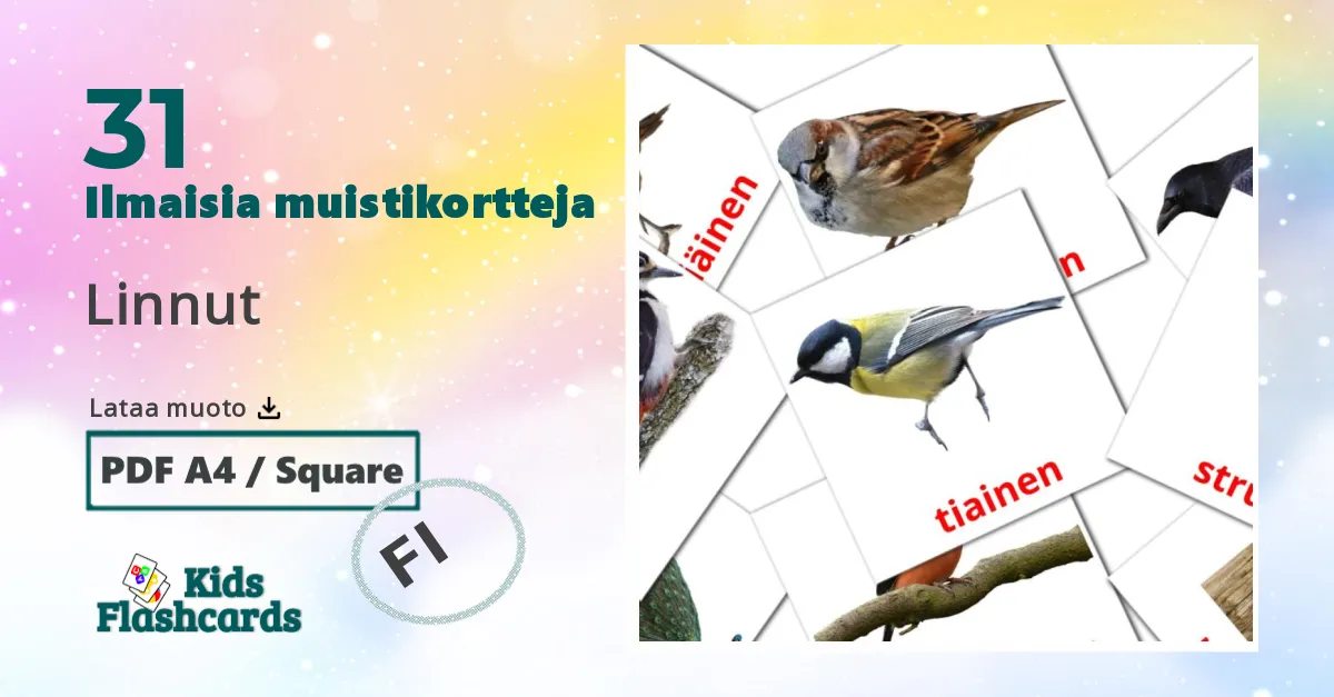 Linnut – lasten kuvakortit amharicksi sanastoon