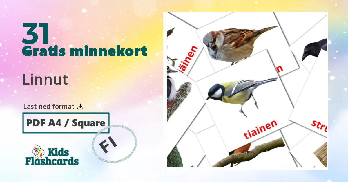 Linnut bildekort for barn på finsk