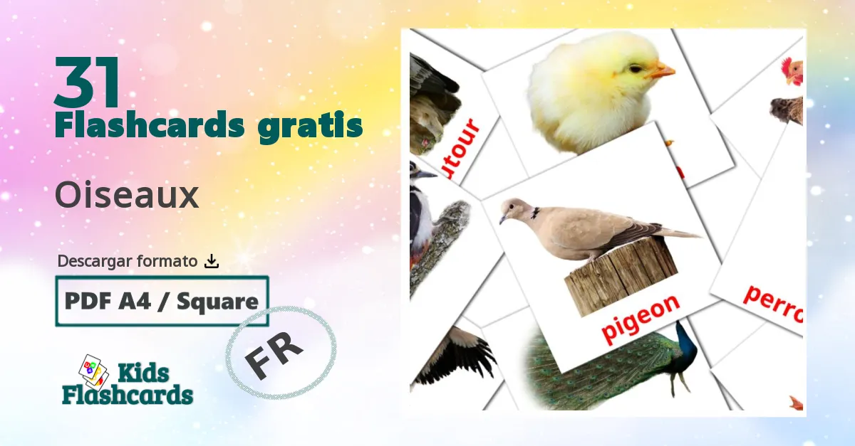 francés tarjetas de vocabulario en Oiseaux