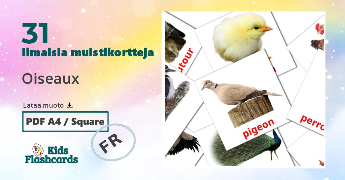 Oiseaux – lasten kuvakortit ranskalaiseksi sanastoon