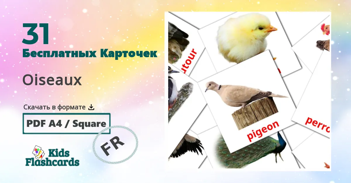 31 Карточки Домана Oiseaux