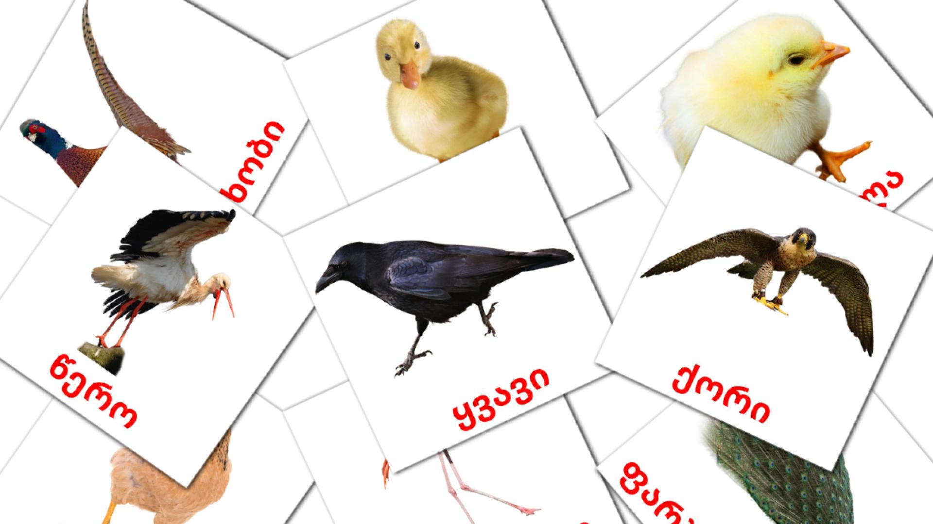 georgiano tarjetas de vocabulario en ფრინველები