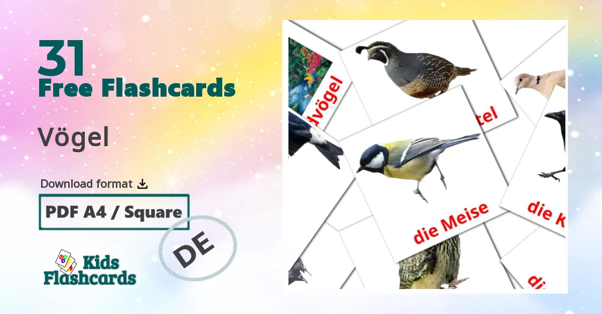 Vögel german vocabulary flashcards