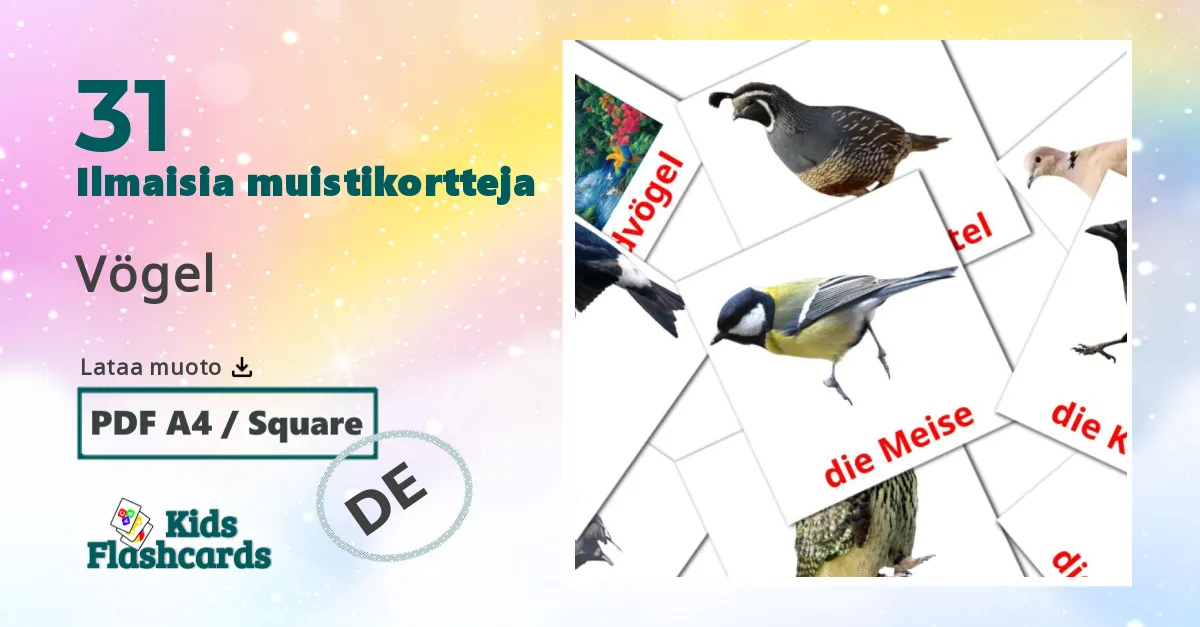 31 Vögel lasten kuvakortit