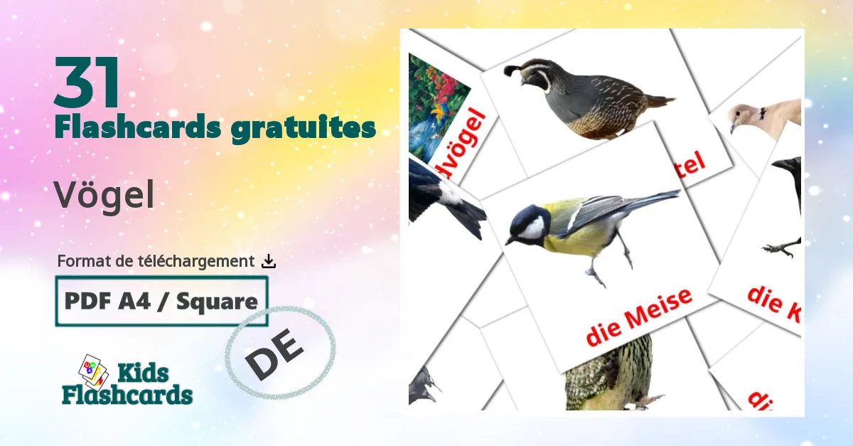 Imagiers Oiseaux