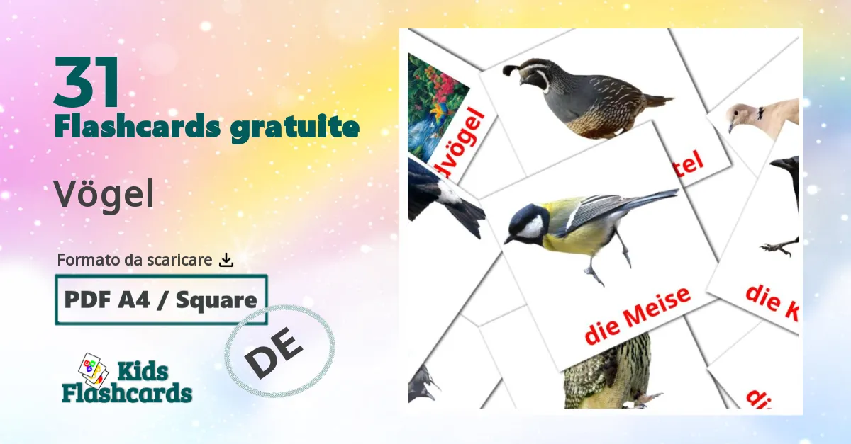 Vögel Flashcards di vocabolario tedesco