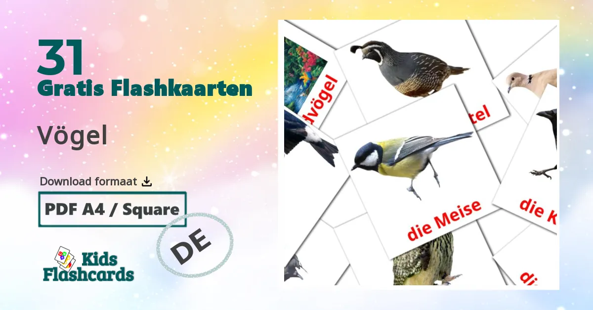 Vögel duits woordenschat flashcards