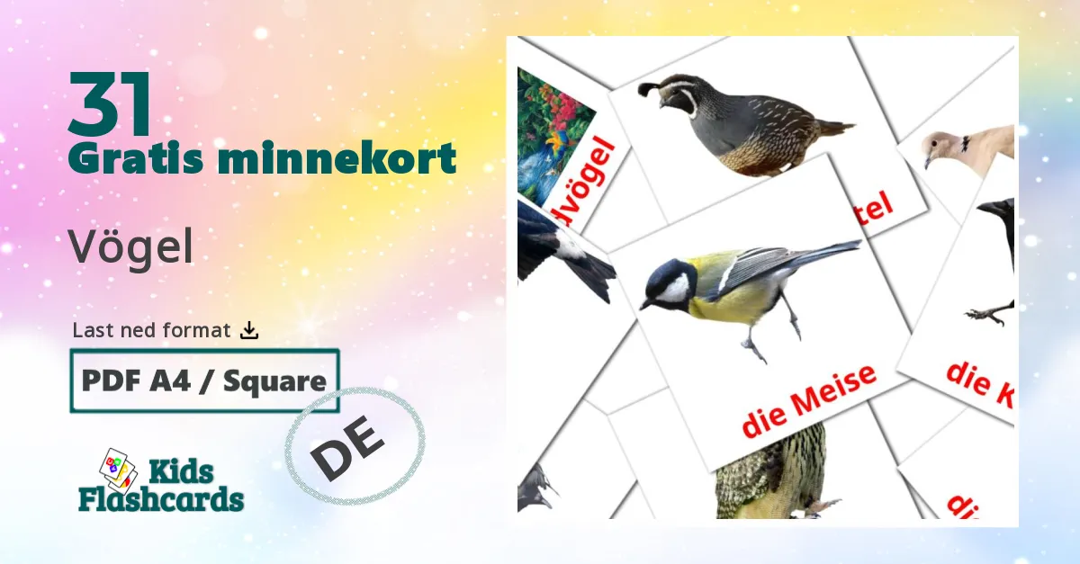 Vögel bildekort for barn på tysk
