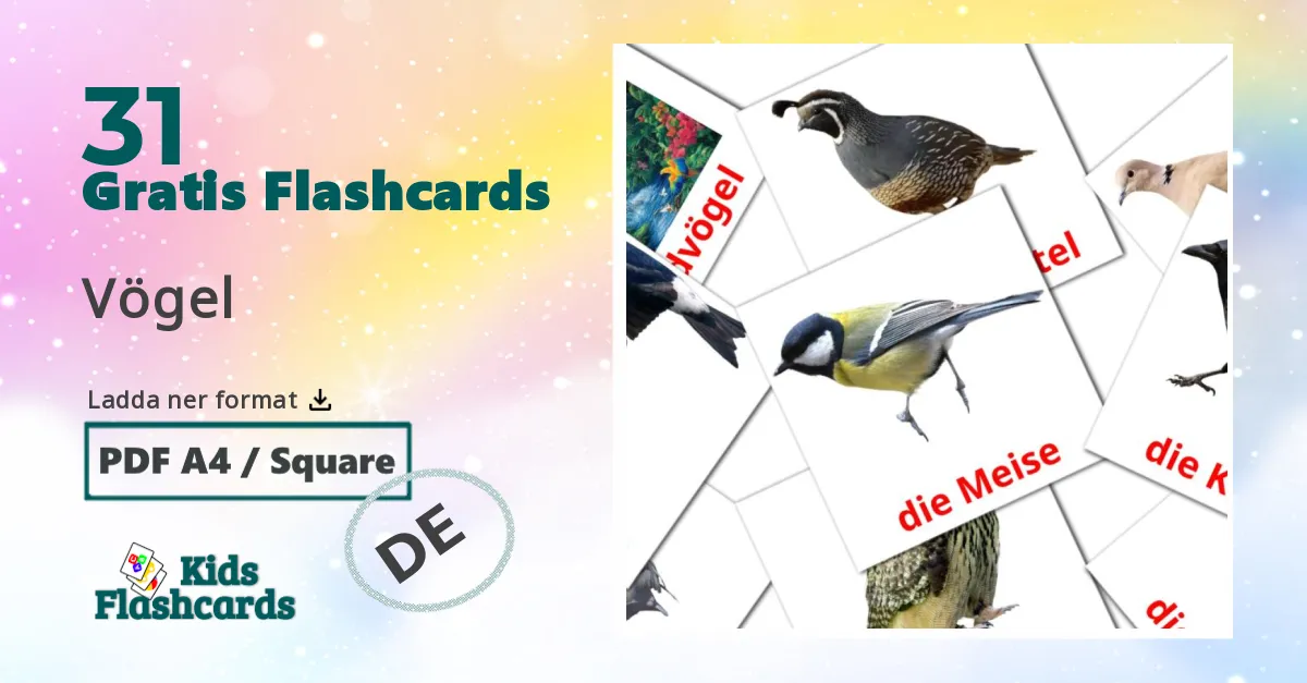 31 Vögel bildkort för barn