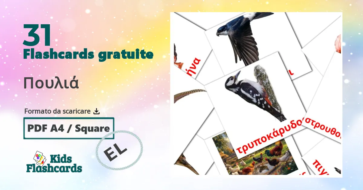 flashcards di Uccelli