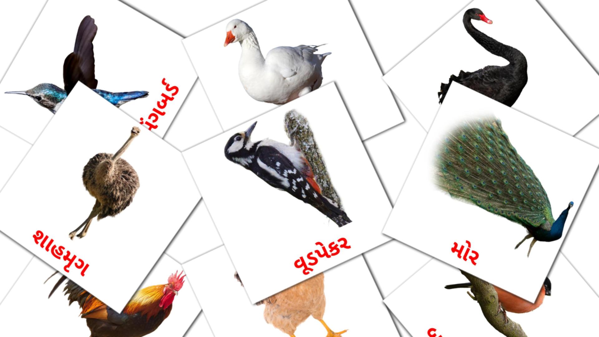 gujarati tarjetas de vocabulario en પક્ષીઓ
