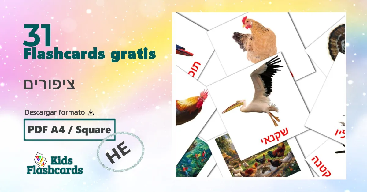 tarjetas didacticas de Aves