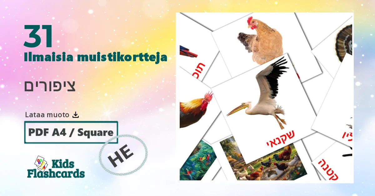 ציפורים – lasten kuvakortit hepreaksi sanastoon