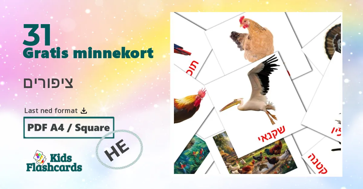 ציפורים bildekort for barn på hebraisk