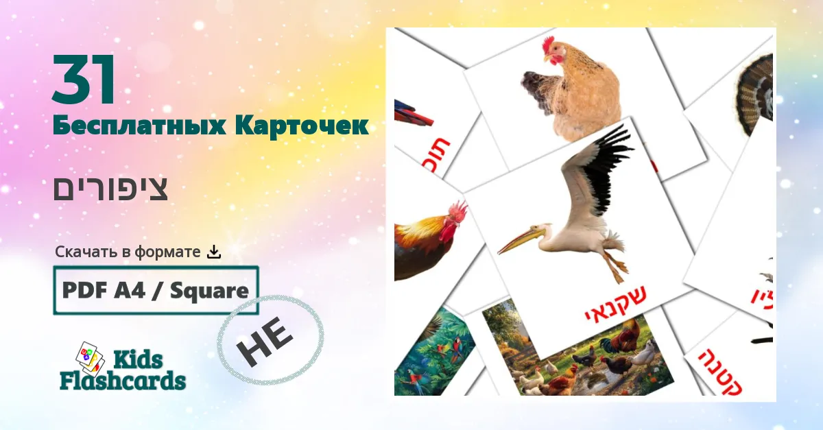 Flashcards de Птицы