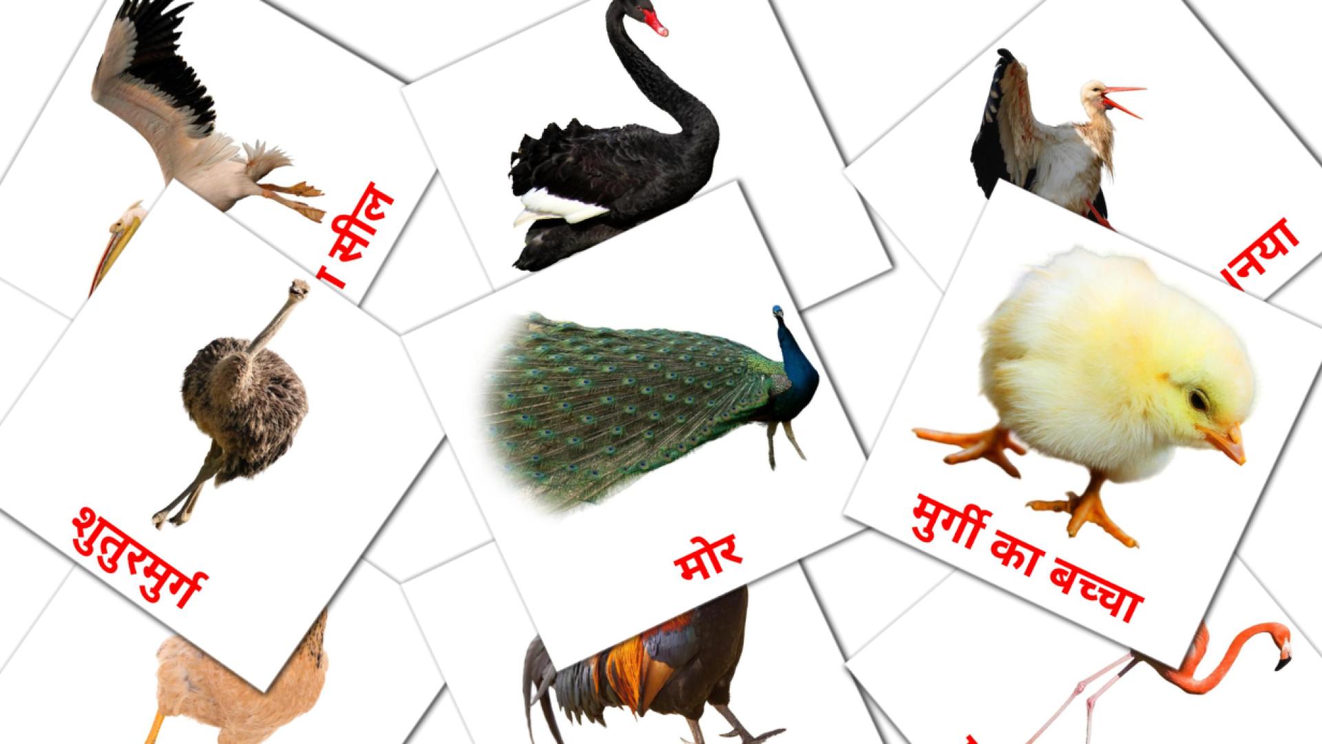Fiches de vocabulaire hindies sur पक्षी