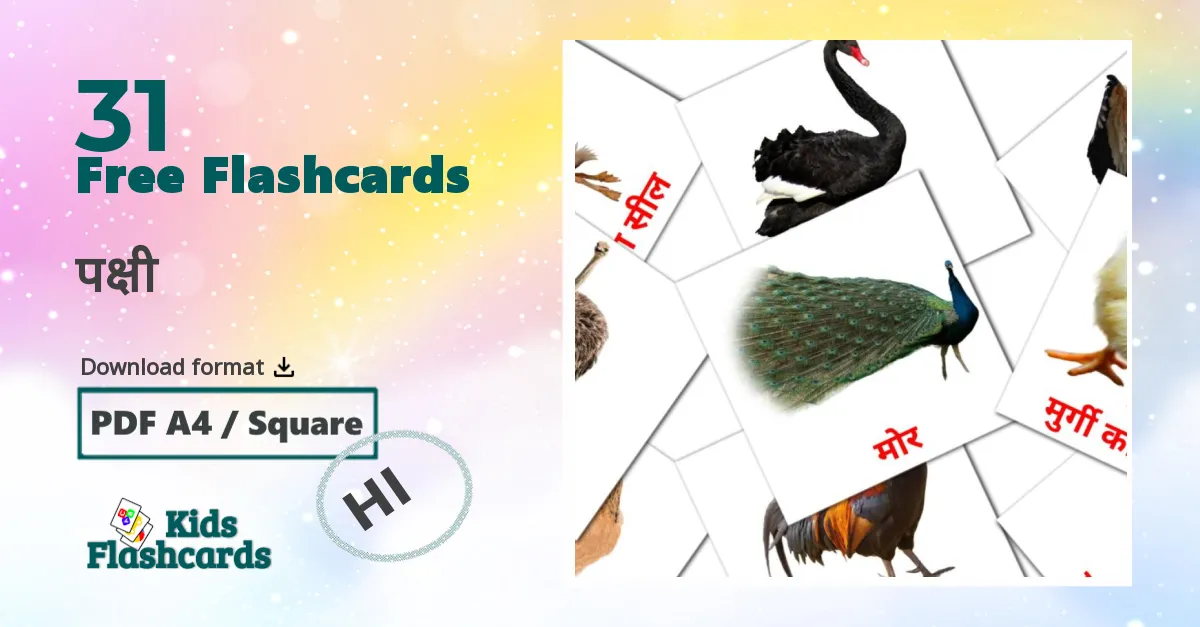 पक्षी hindi vocabulary flashcards