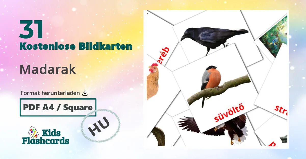 31 Bildkarten für Madarak