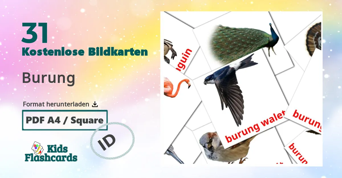 31 Bildkarten für Burung