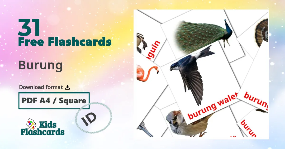 Burung indonesian vocabulary flashcards