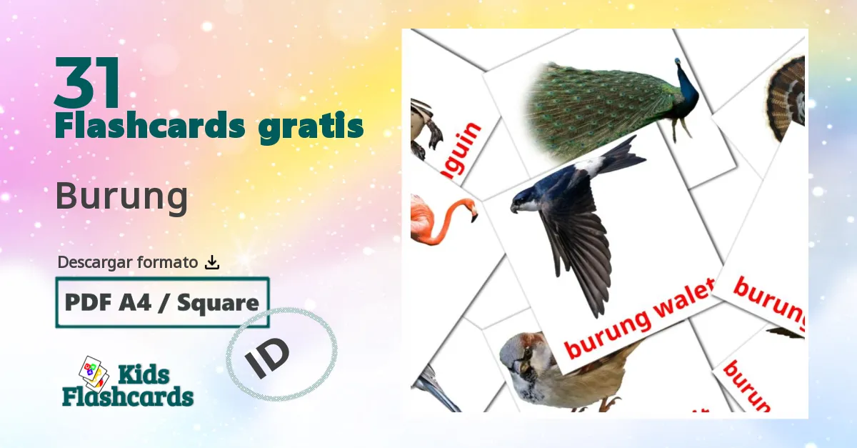 31 tarjetas didacticas de Burung