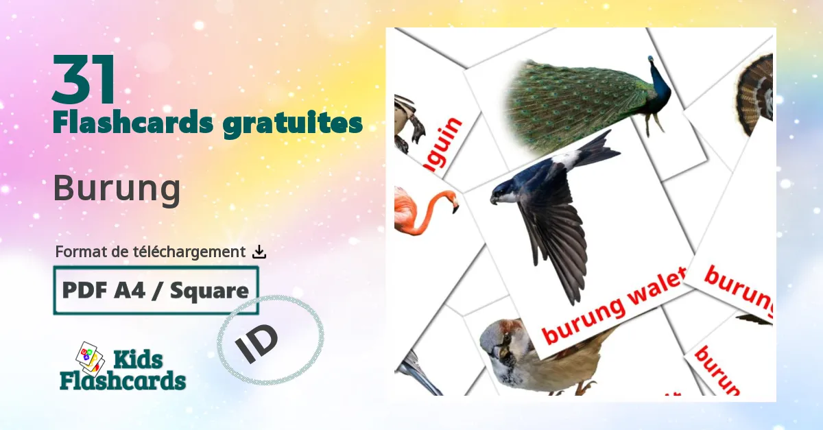 Fiches de vocabulaire indonésienes sur Burung