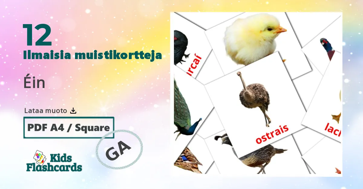 Linnut lasten kuvakortit