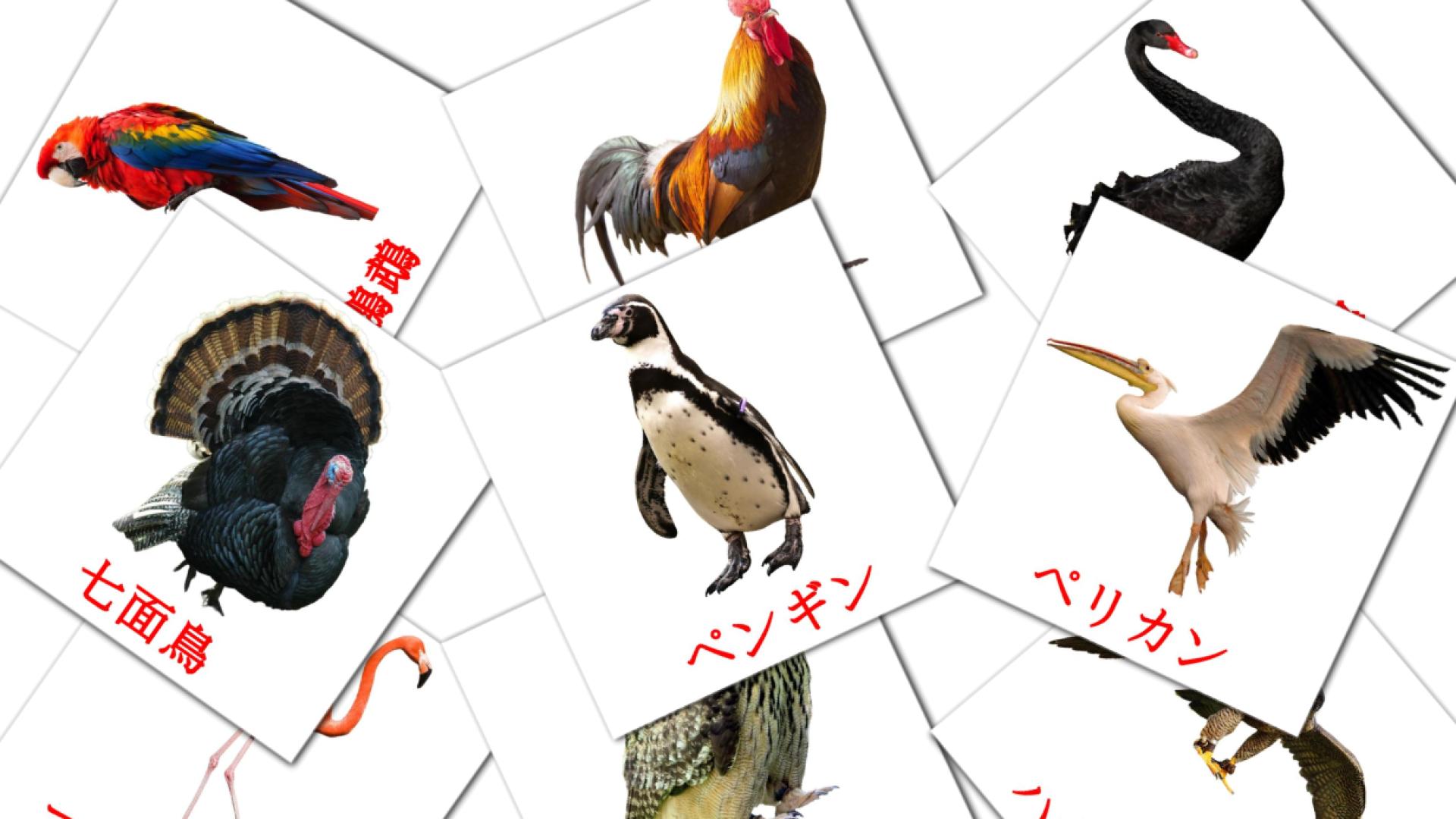 Fiches de vocabulaire japonaises sur 鳥