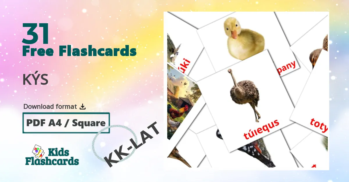 Birds flashcards