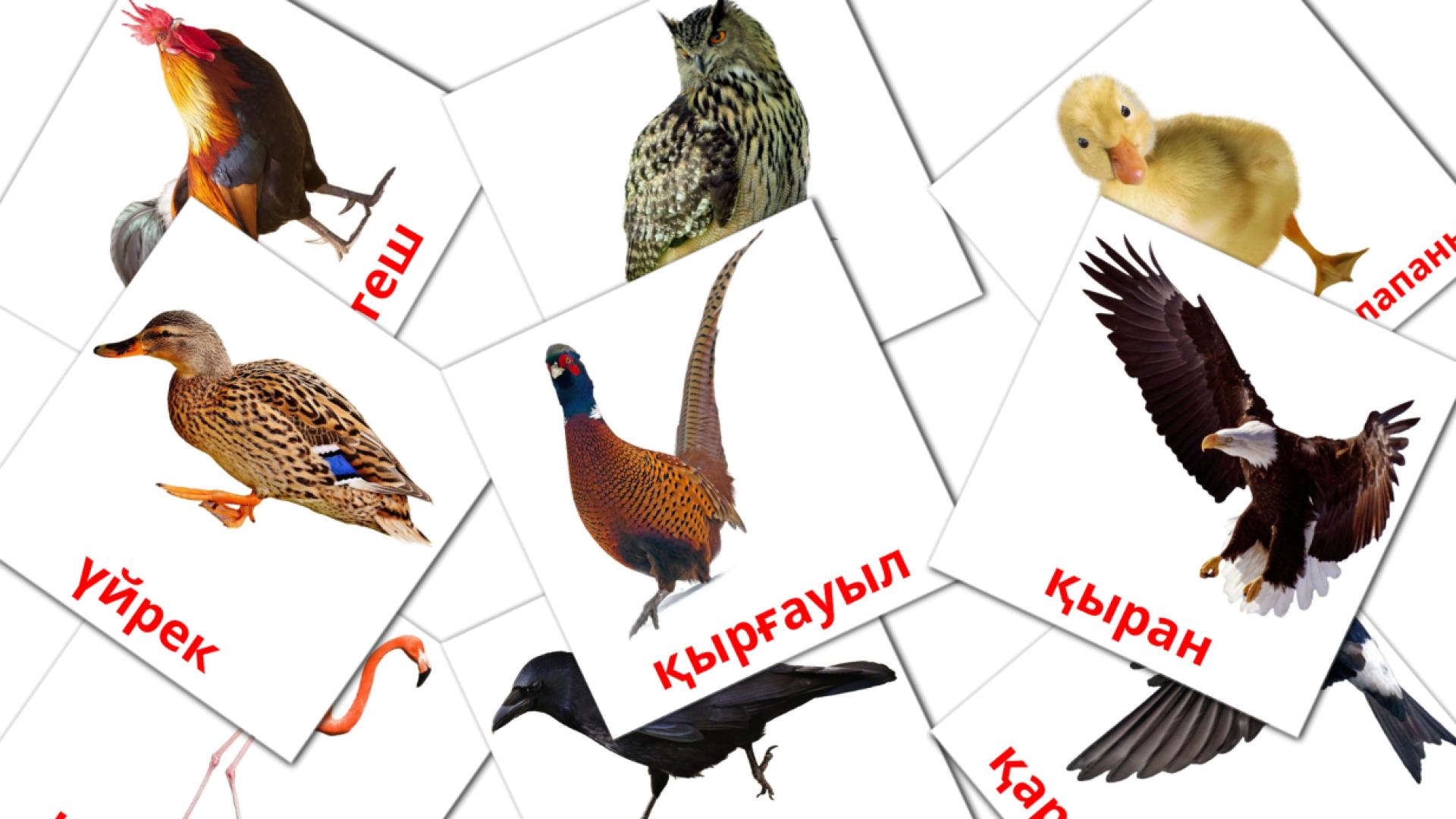 kazajo tarjetas de vocabulario en КУС
