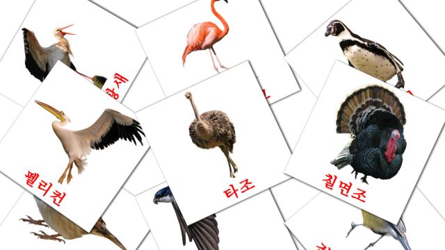 1300-free-korean-flashcards-pdf-picture-vocabulary