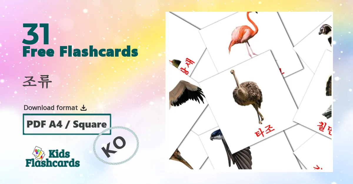 Birds flashcards