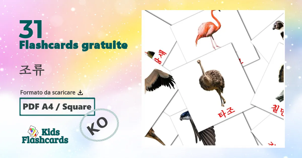 flashcards di Uccelli