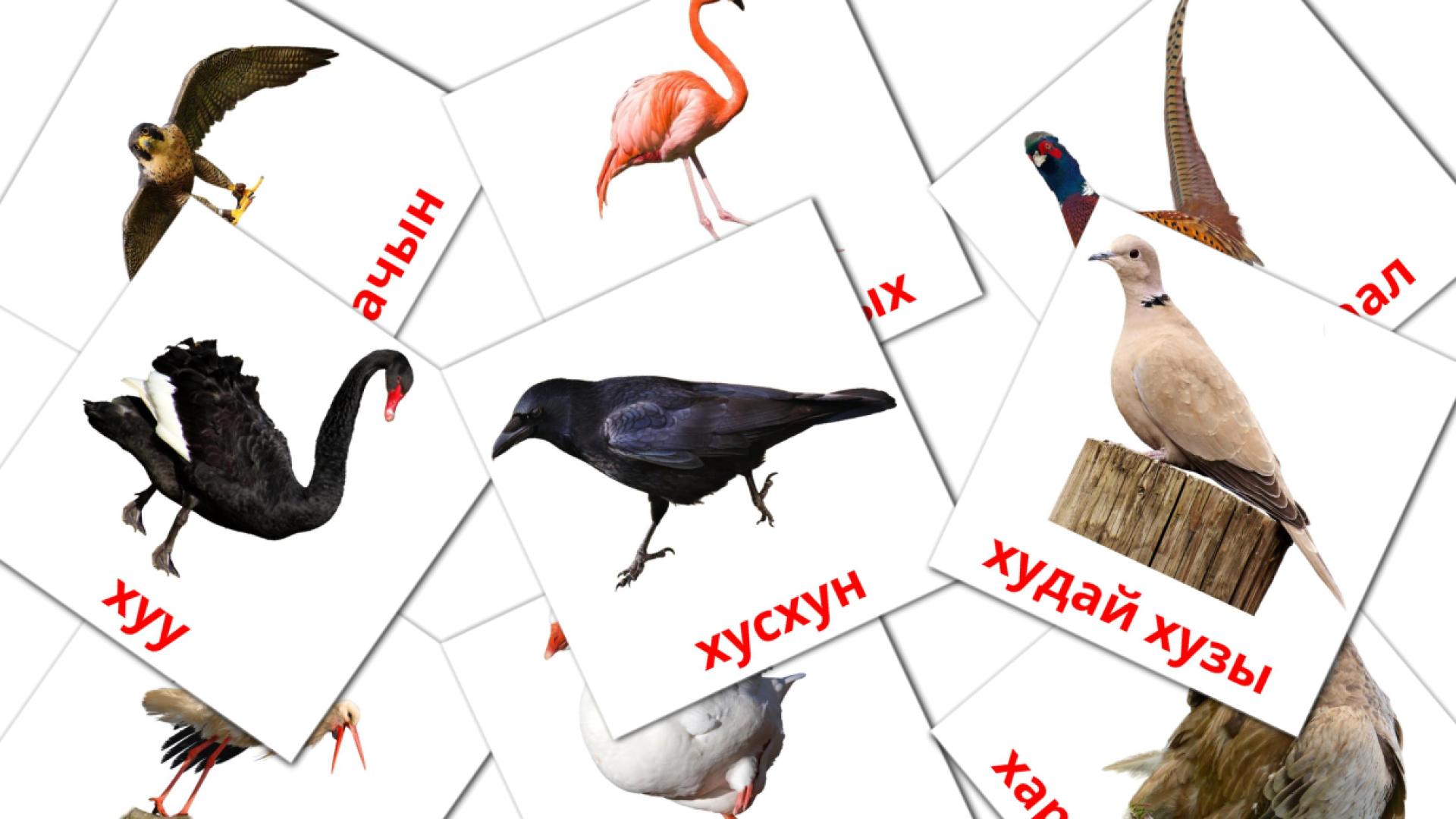 Хустар kyrgyz vocabulary flashcards