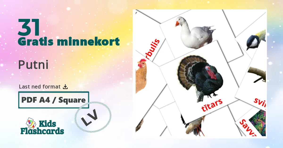 31 Putni bildekort