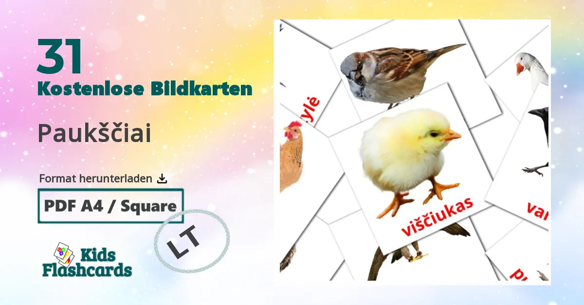 Bildkarten für Vögel