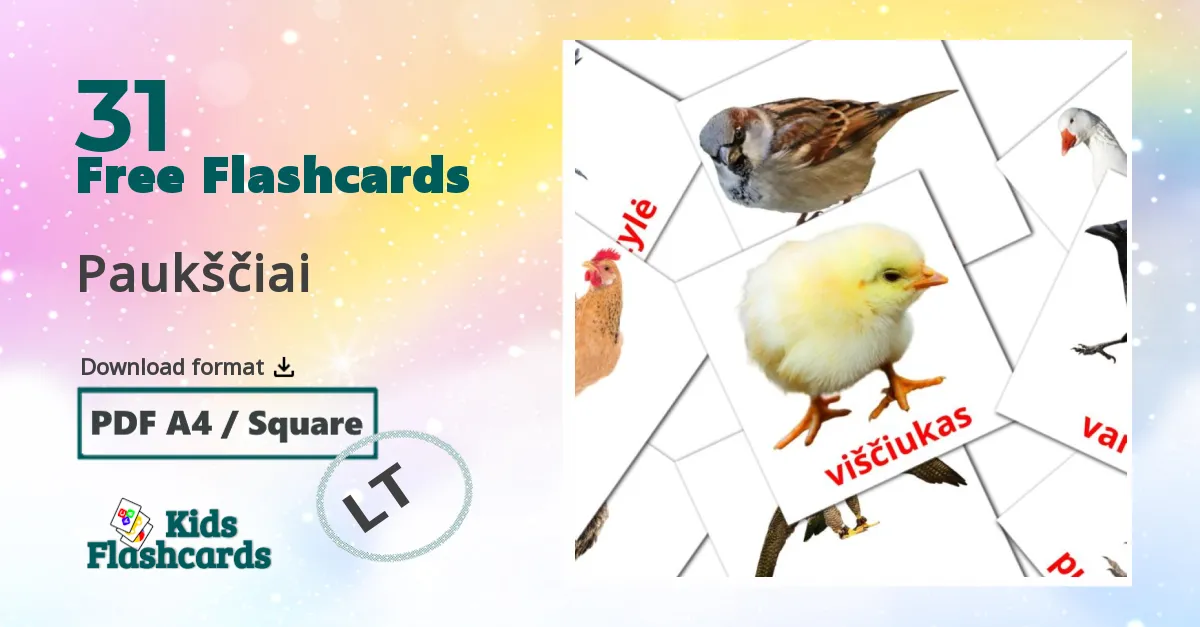 Birds flashcards