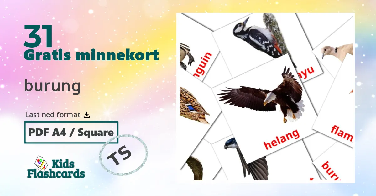 burung  bildekort for barn på malay