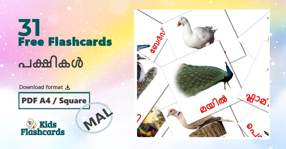 പക്ഷികൾ malayalam vocabulary flashcards