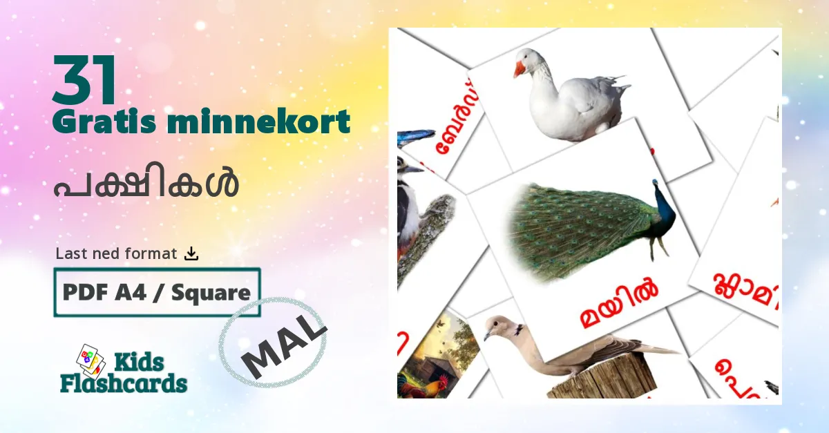 Fugler bildekort