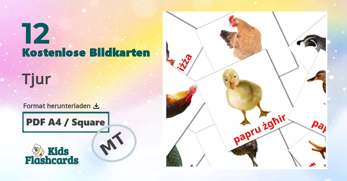 Bildkarten für Vögel