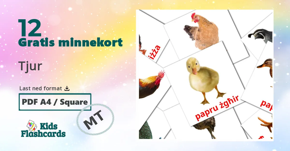 Fugler bildekort